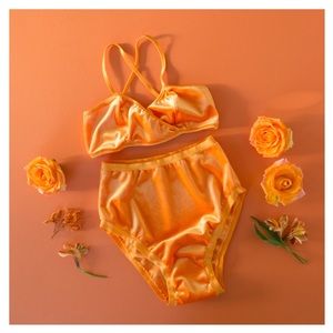 Hey Mavens! Neon Orange Velvet Bra and high waist Panty set XL